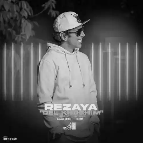 متن آهنگ رضایا دلخوشیم