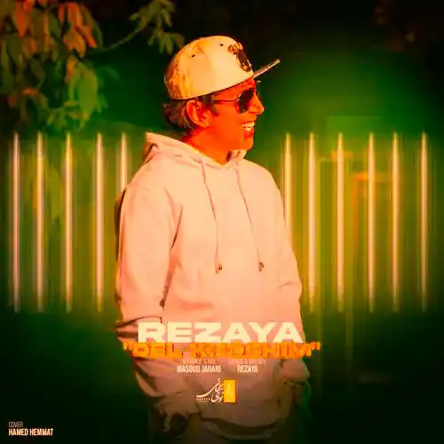 دانلود آهنگ رضایا دلخوشیم