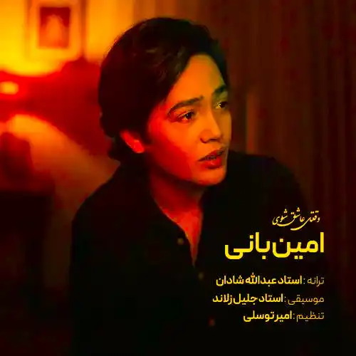 دانلود آهنگ امین بانی وقتی عاشق شوی