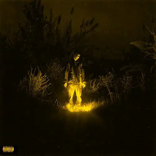 دانلود آهنگ گوچی فلیم لاو سیک