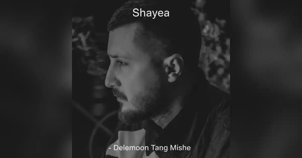 دانلود آهنگ شایع دلمون تنگ میشه