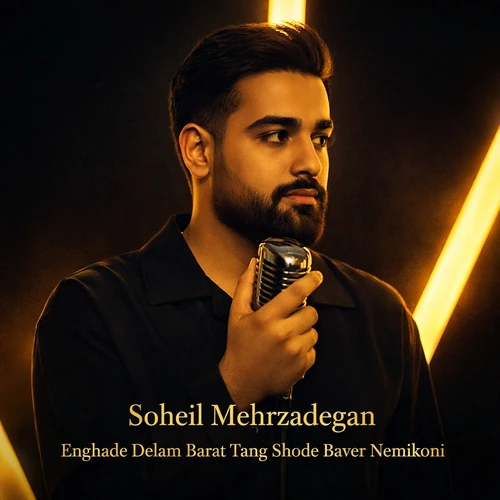 دانلود آهنگ دلی سهیل مهرزادگان انقده دلم برات تنگ شده باور نمیکنی