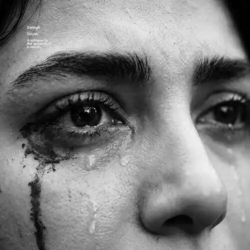 دانلود آهنگ صادق گواه